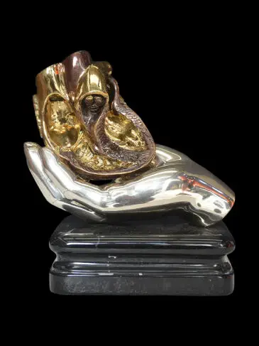 heart in doctor's hand