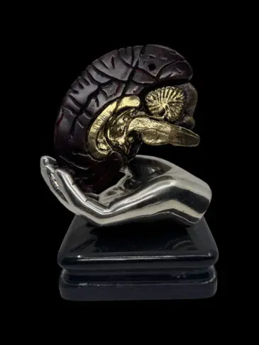 brain in doctor's hand