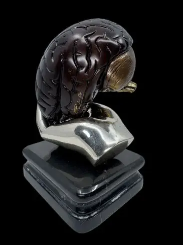 brain in doctor's hand